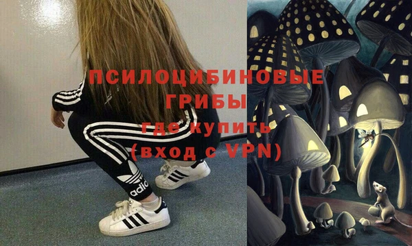 дживик Остров